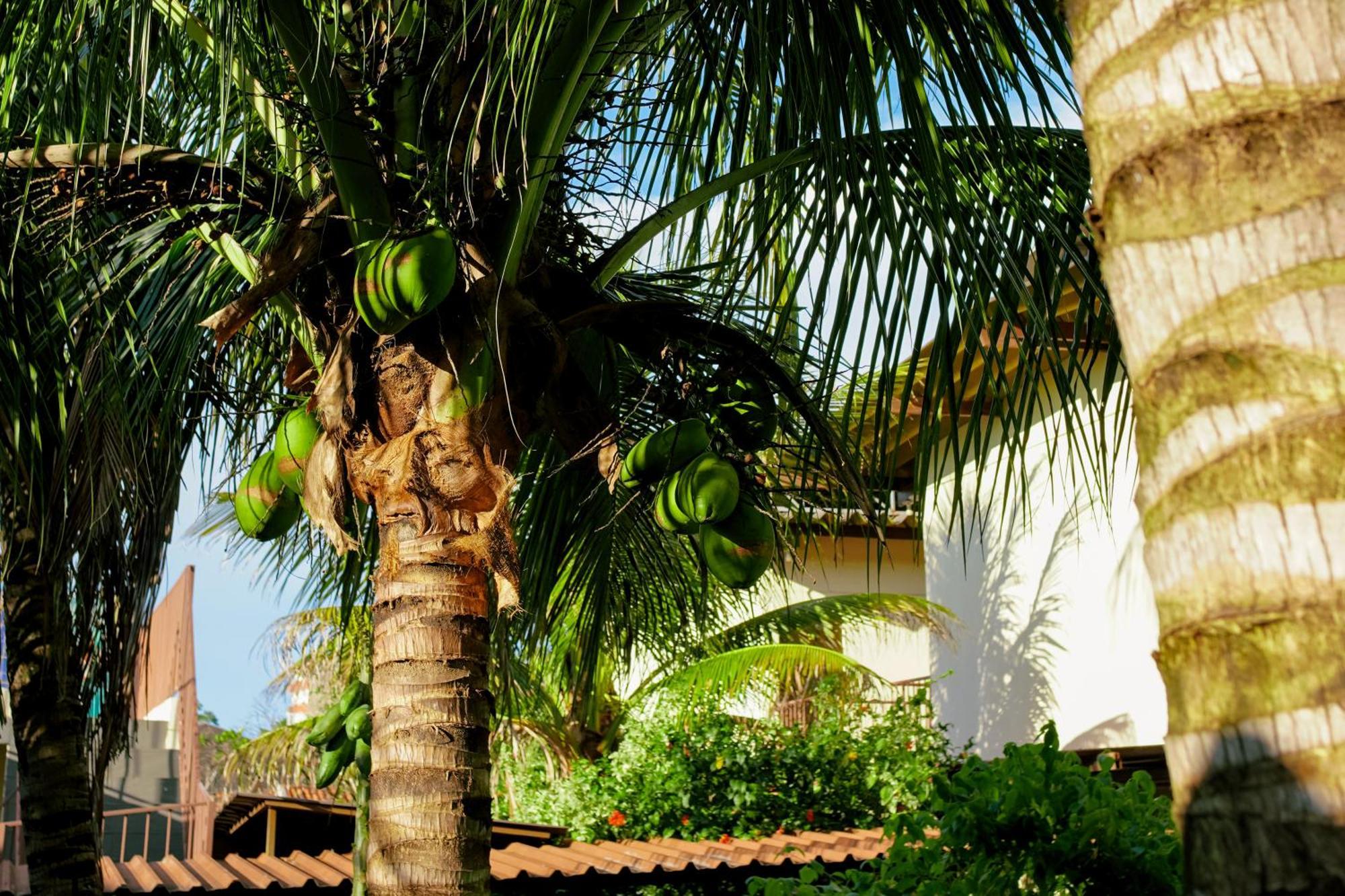 Velinn Hotel Natureza Foz Foz do Iguaçu Exteriér fotografie