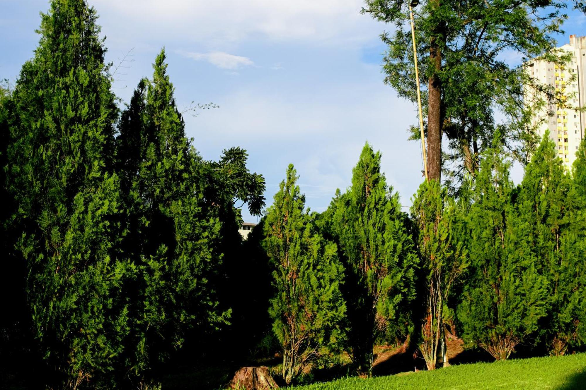 Velinn Hotel Natureza Foz Foz do Iguaçu Exteriér fotografie